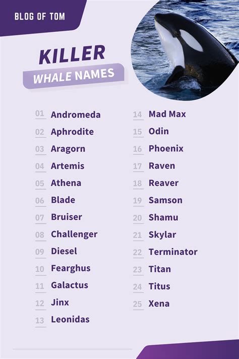 good names for killer whales.